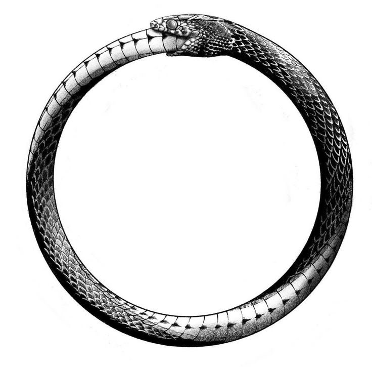 oroborus